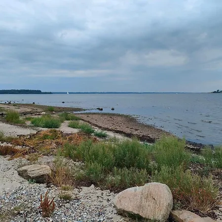 8 Person In Aabenraa Loddenhøj