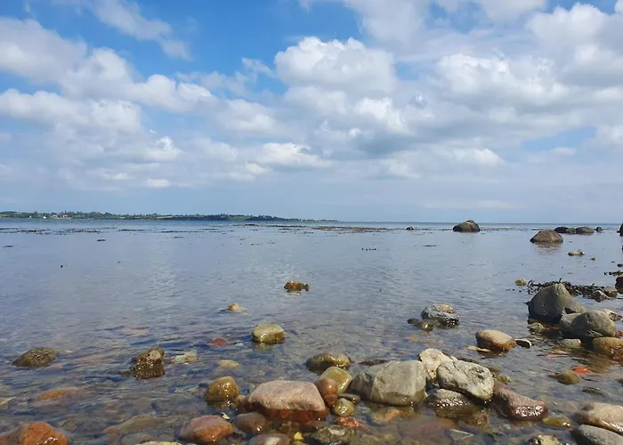 8 Person In Aabenraa Loddenhøj